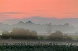 Misty Dawn_00644-7